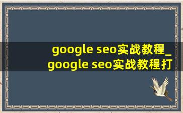 google seo实战教程_google seo实战教程打广告